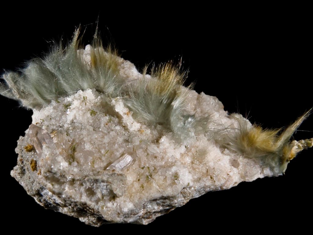 Fibrous actinolite (byssolite) specimen showing hair-like green fiber tufts on rock matrix