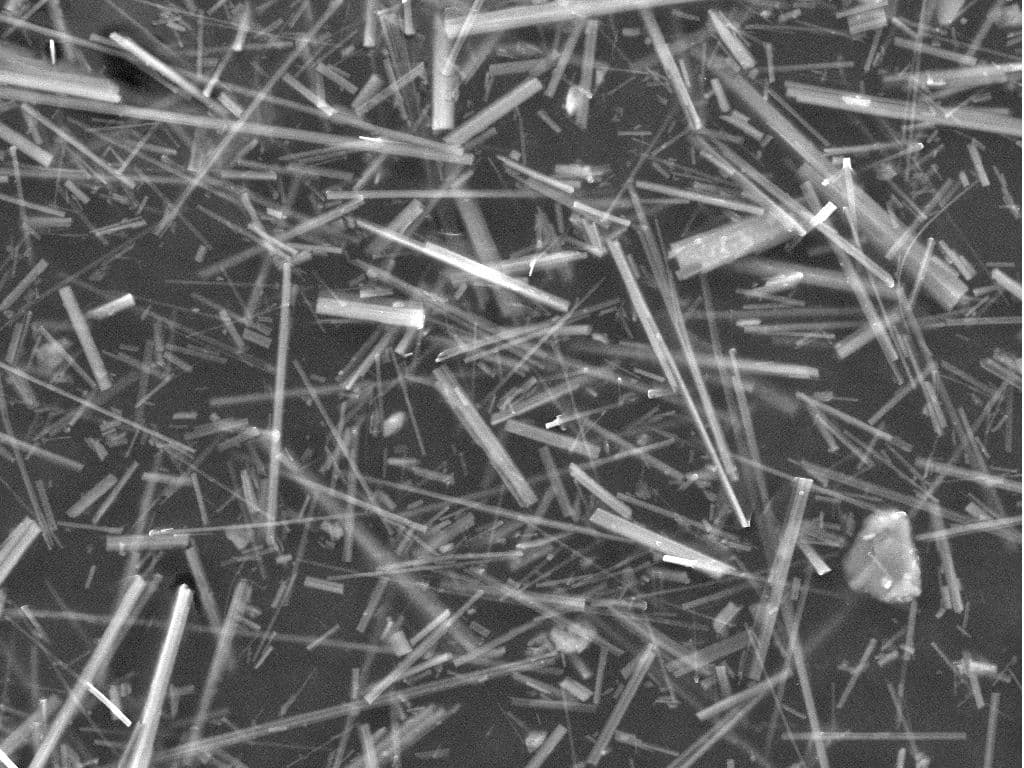 Scanning electron micrograph of amosite asbestos showing straight, rigid rod-like amphibole fibers