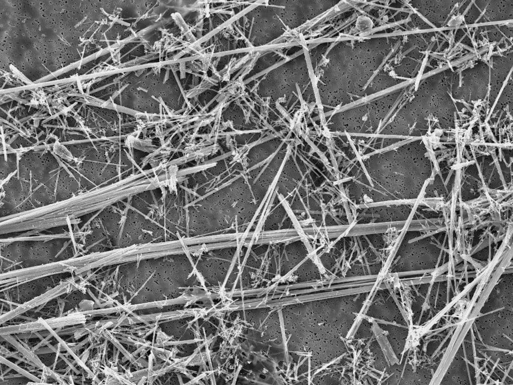 Scanning electron micrograph of crocidolite asbestos showing dense mats of fine needle-like fibers